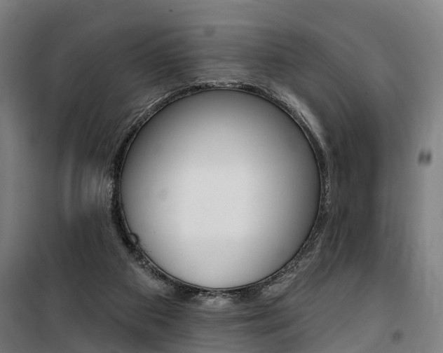 X0000100870113200806200912