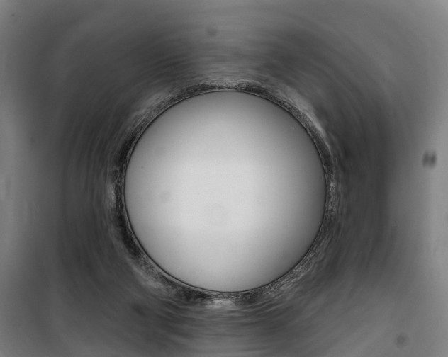 X0000100870114200806200912