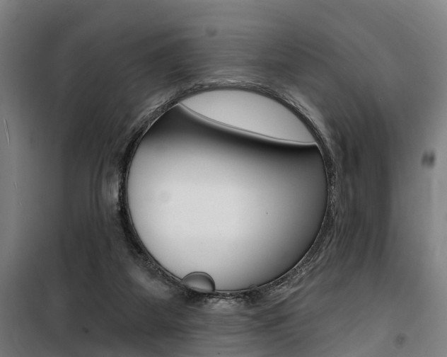 X0000100870115200806200912