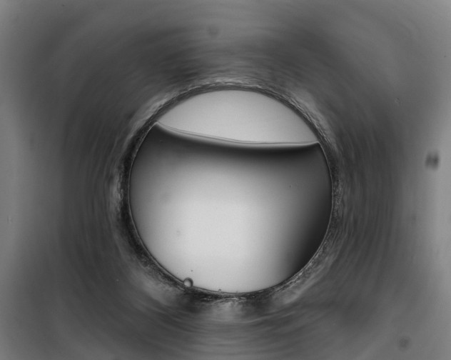 X0000100870116200806200912
