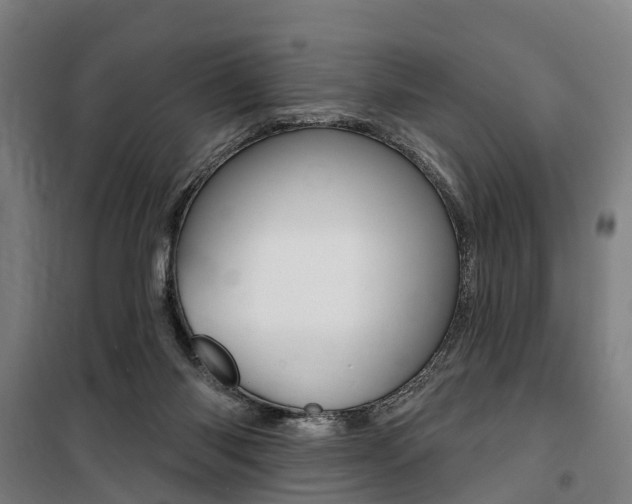 X0000100870118200806200912