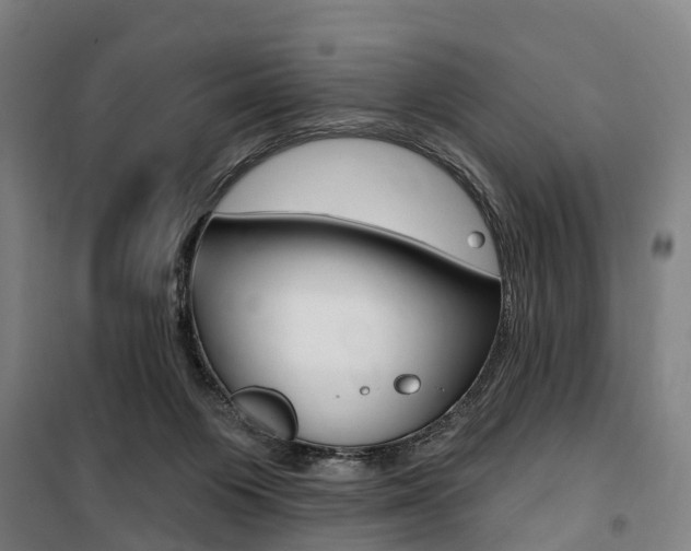 X0000100870119200806200912