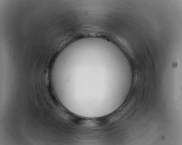 X0000100870121200806200912
