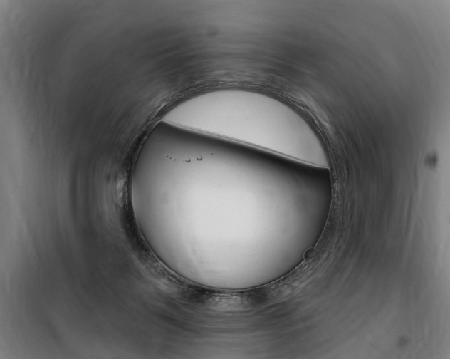 X0000100870123200806200912