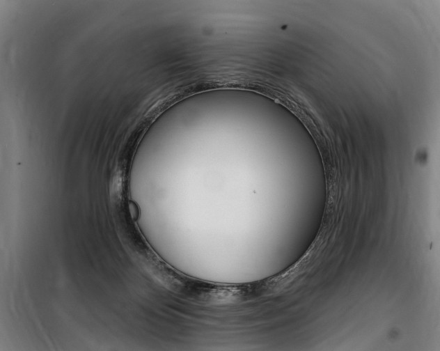 X0000100870124200806200912