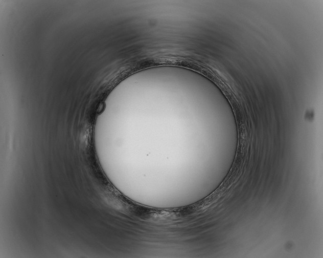 X0000100870125200806200912