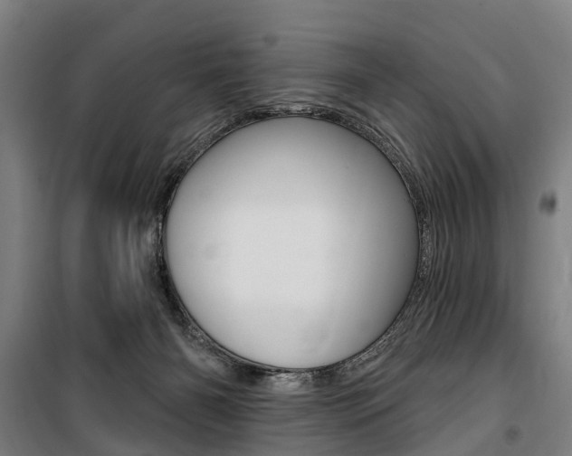 X0000100870126200806200912
