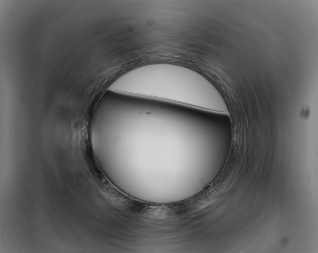 X0000100870127200806200912