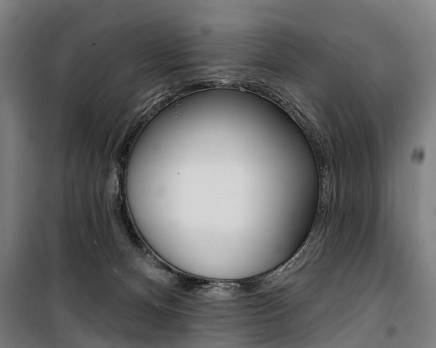 X0000100870128200806200912