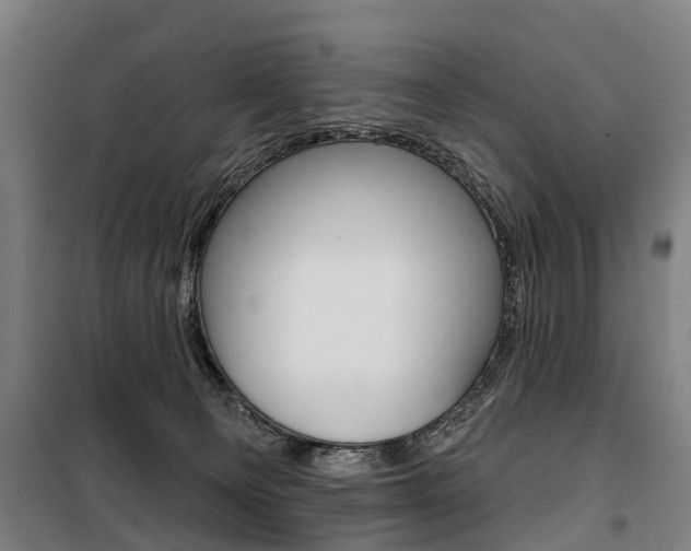 X0000100870129200806200912