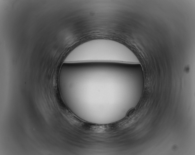 X0000100870131200806200912