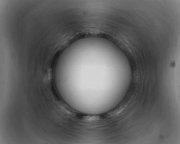 X0000100870135200806200912