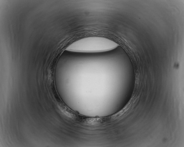 X0000100870136200806200912