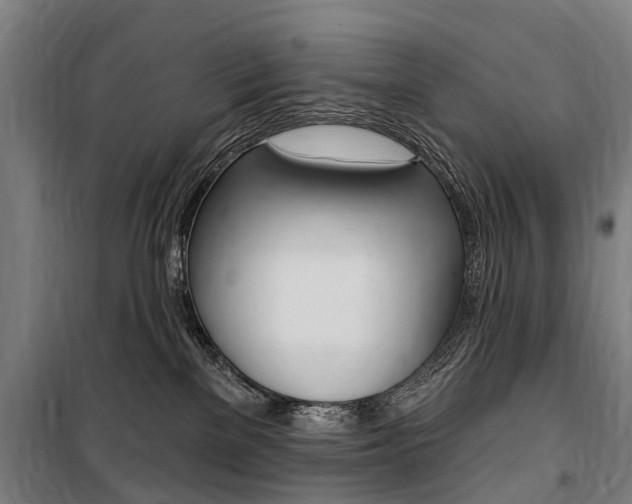 X0000100870137200806200912