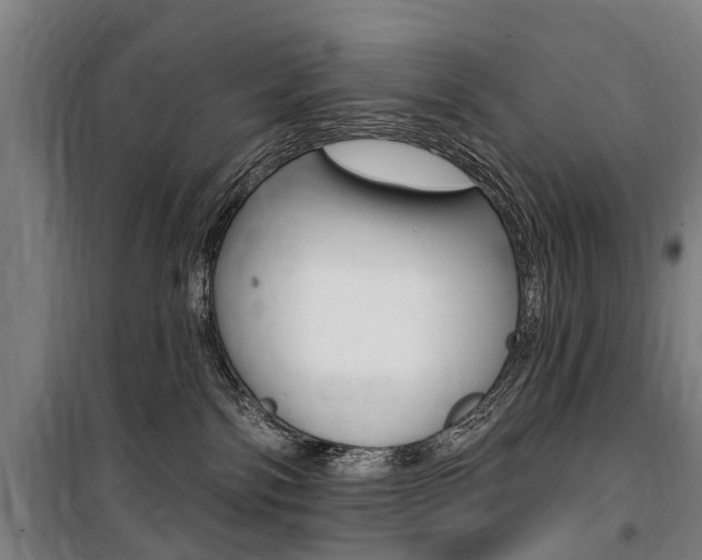 X0000100870138200806200912