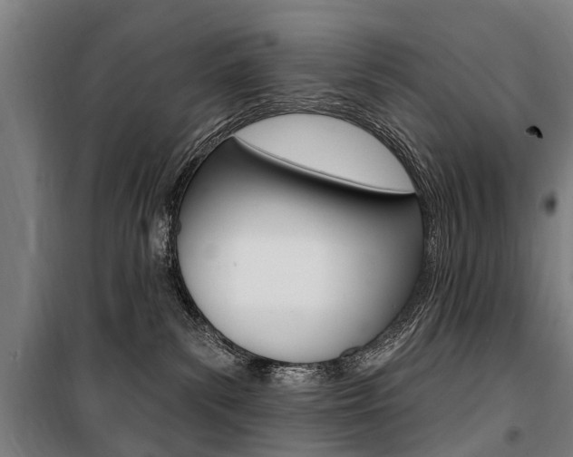 X0000100870139200806200912