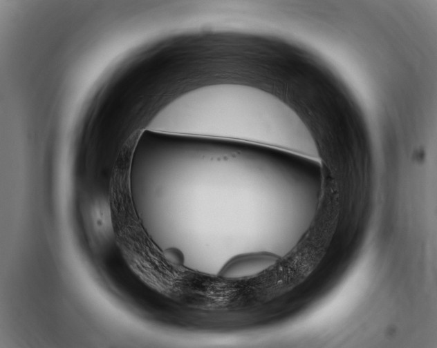 X0000100870143200806200911