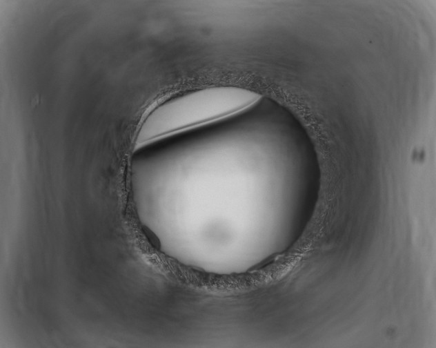 X0000100870144200806200911