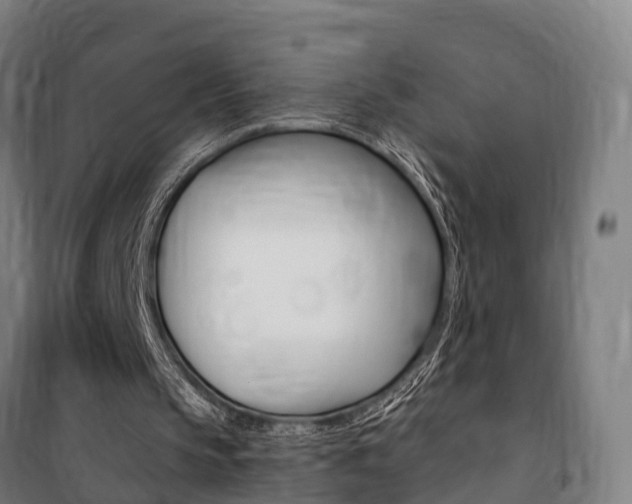 X0000100870145200806200911