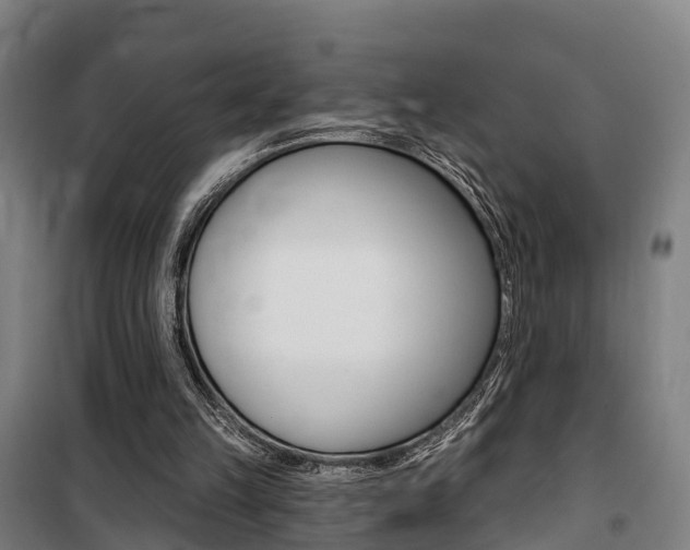 X0000100870149200806200911