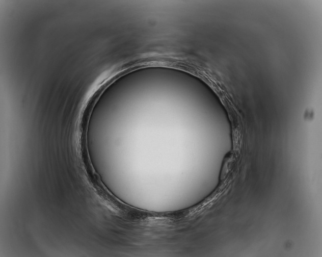 X0000100870150200806200911