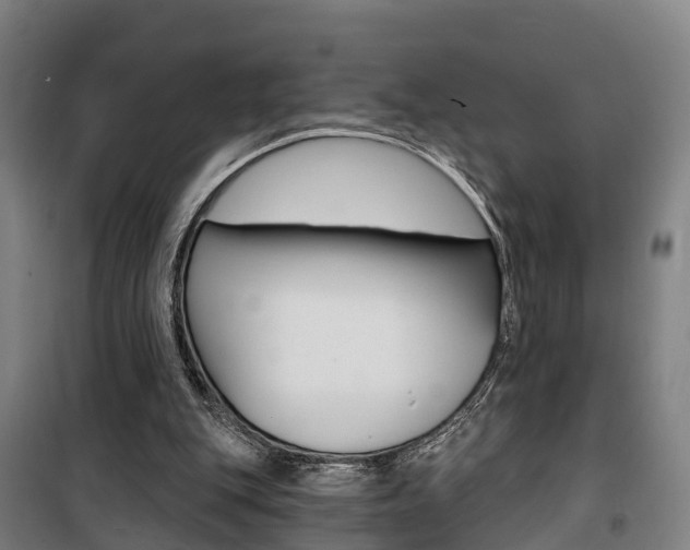 X0000100870151200806200911
