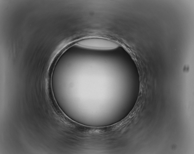 X0000100870152200806200911