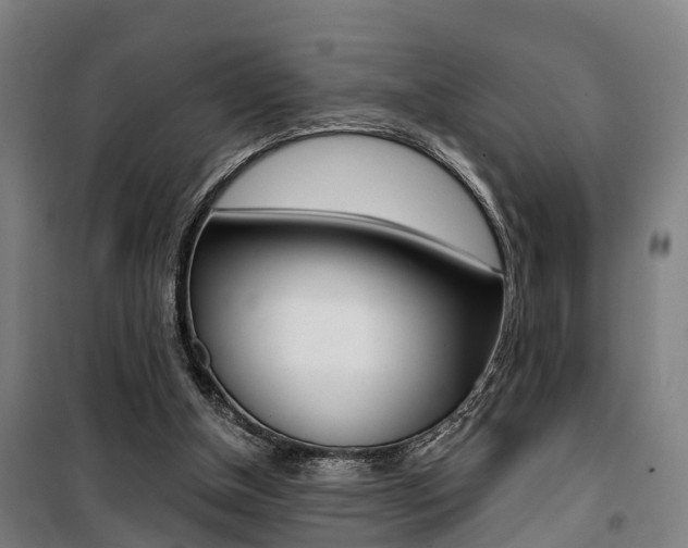X0000100870154200806200911