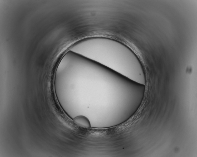 X0000100870155200806200911