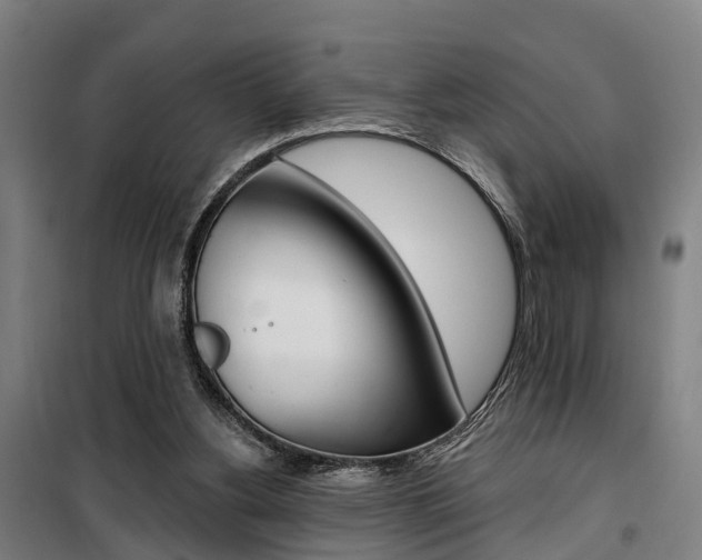 X0000100870156200806200911