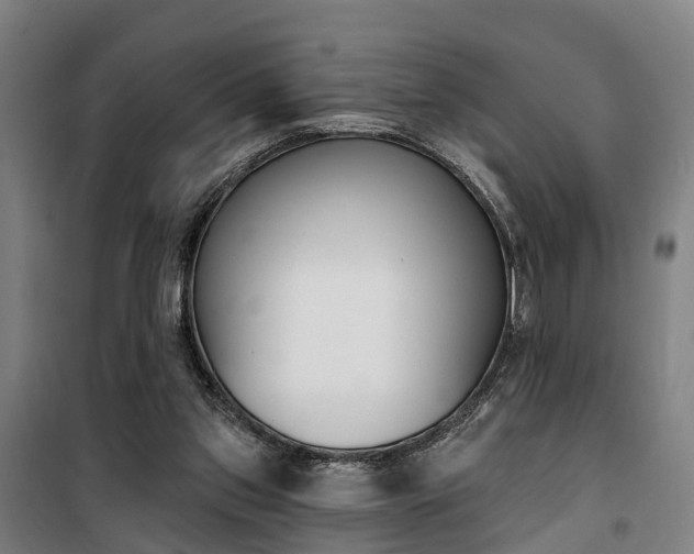 X0000100870157200806200911