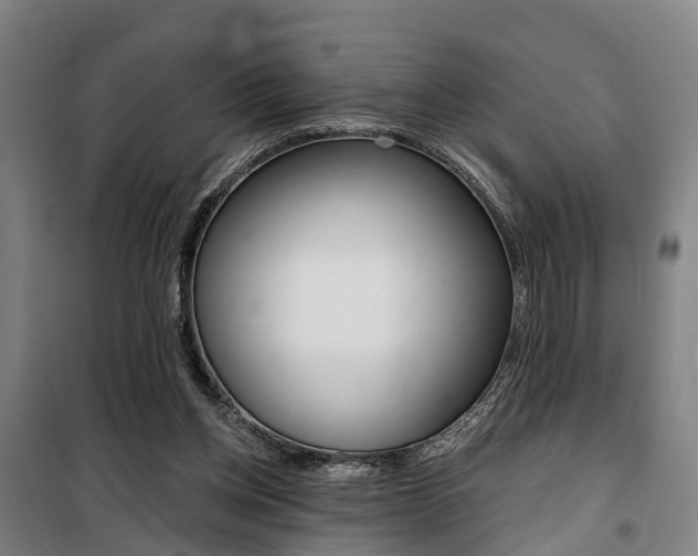 X0000100870158200806200911