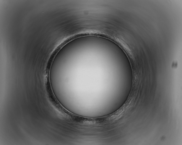 X0000100870160200806200911