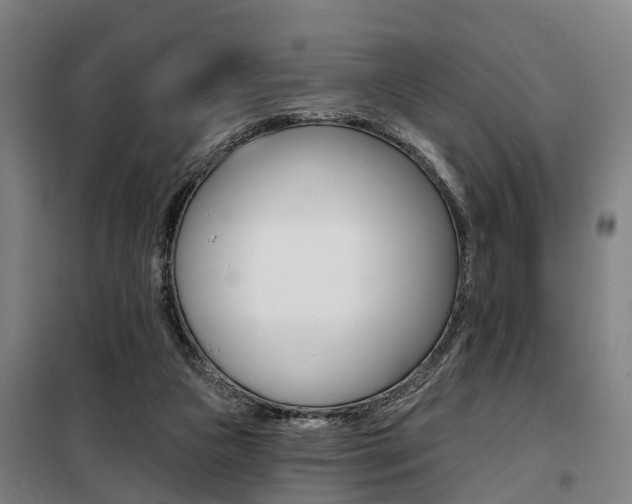 X0000100870161200806200911