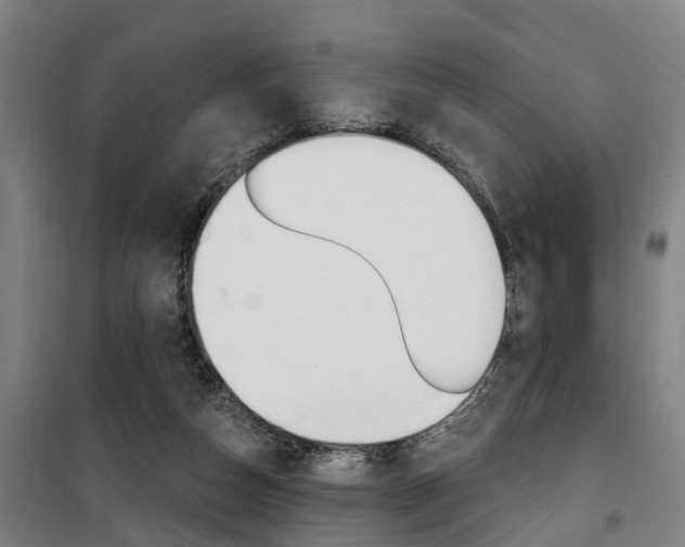 X0000100870162200806200911