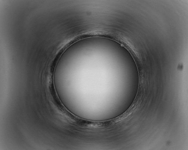 X0000100870164200806200911