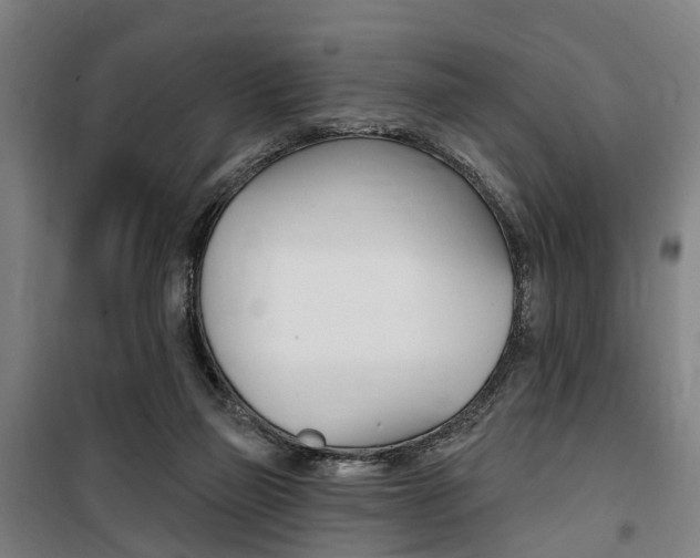 X0000100870165200806200911