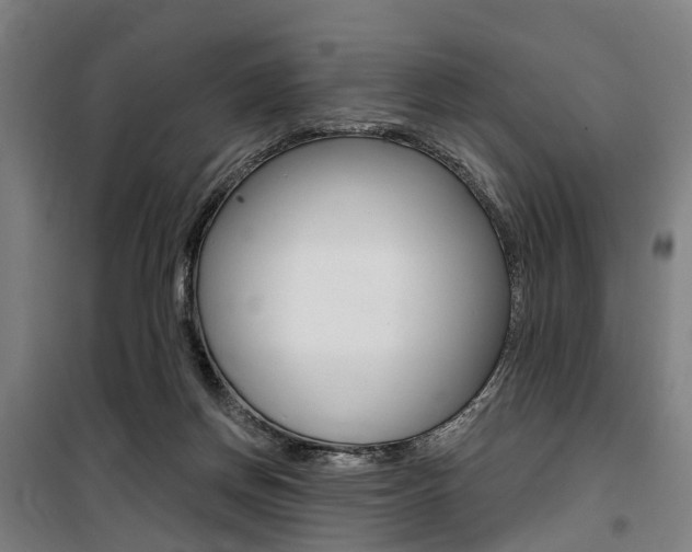X0000100870166200806200911