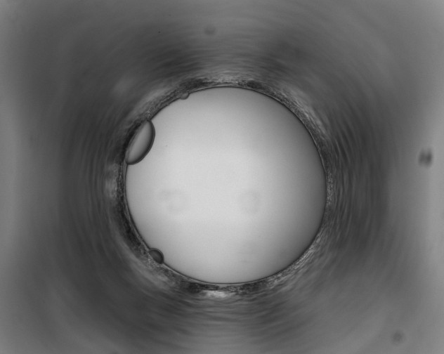 X0000100870167200806200911