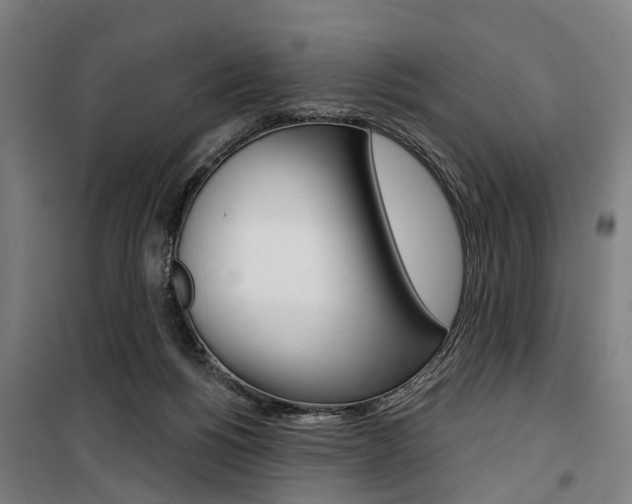 X0000100870168200806200911