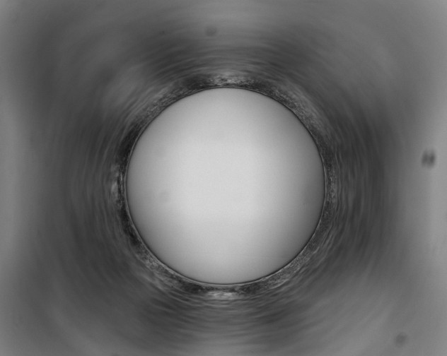 X0000100870169200806200911