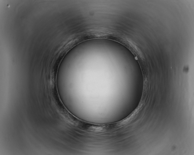 X0000100870170200806200911
