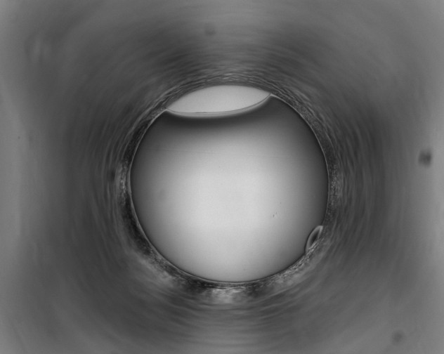 X0000100870172200806200911