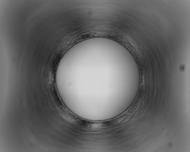 X0000100870173200806200911