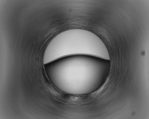 X0000100870174200806200911