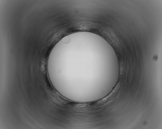 X0000100870175200806200911