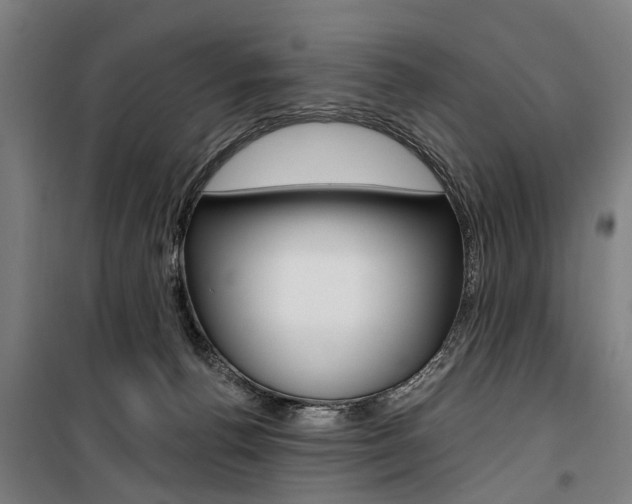X0000100870176200806200911