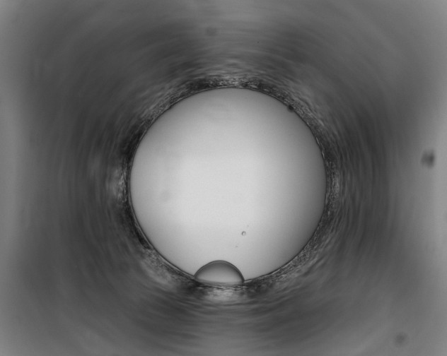 X0000100870177200806200911
