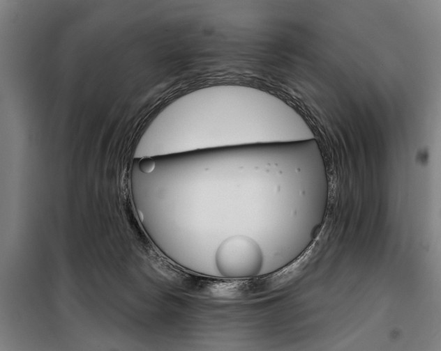 X0000100870178200806200911
