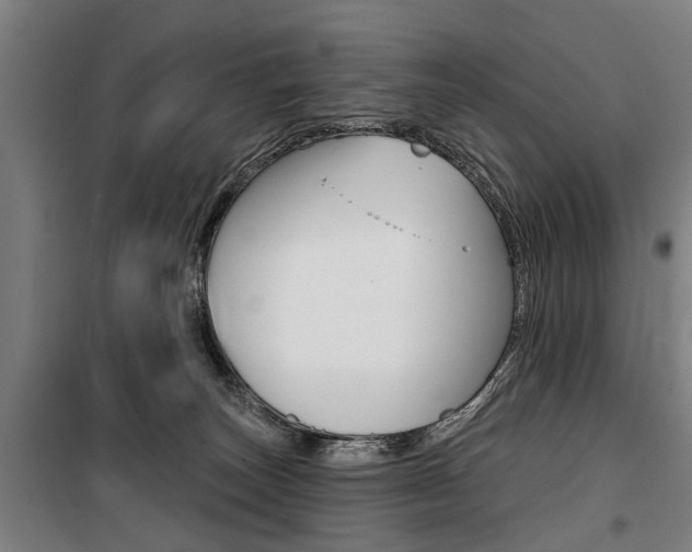 X0000100870179200806200911